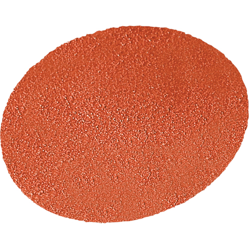 Roloc Disc 963G, 3" Dia., 50 Grit, Aluminum Oxide/Ceramic M & M Nord Ouest Inc
