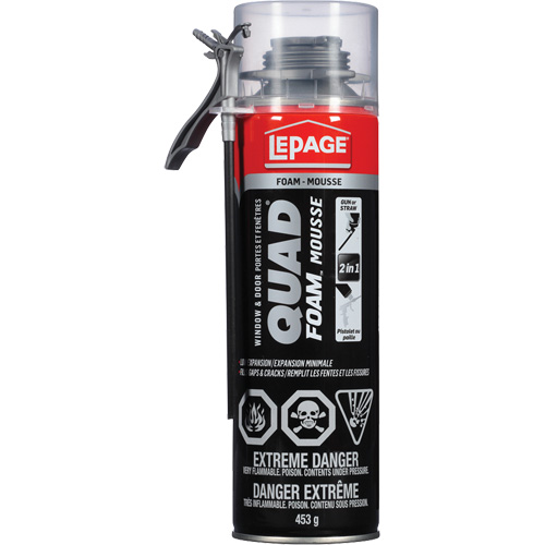 Quad&reg; Foam Window & Door Installation Foam, Aerosol Can, Tan M & M Nord Ouest Inc