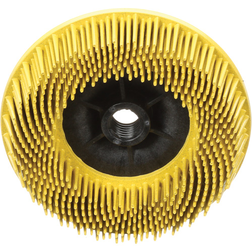 Disques radiaux bristle pour meuleuses angulaires Scotch-Brite, C&eacute;ramique, Grain 80, 4-1/2" dia. M & M Nord Ouest Inc