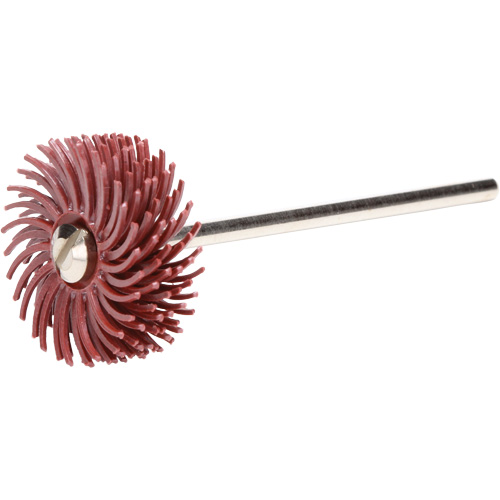 Scotch-Brite Radial Bristle Discs, P220X Grit, 3/4" Dia. M & M Nord Ouest Inc