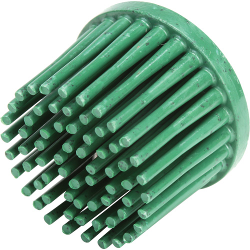 Roloc Bristle Discs, Ceramic, 50 Grit, 1" Dia. M & M Nord Ouest Inc