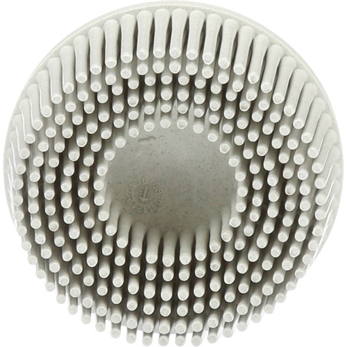 Scotch-Brite Roloc Bristle Discs, 120 Grit, 2" Dia. M & M Nord Ouest Inc
