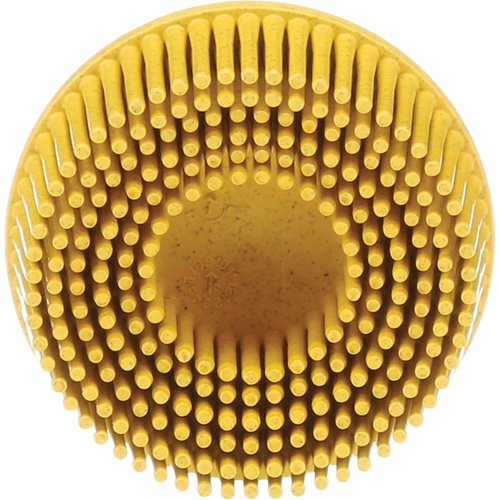 Scotch-Brite Roloc Bristle Discs, 80 Grit, 2" Dia. M & M Nord Ouest Inc