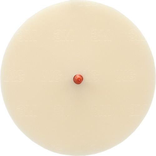 Scotch-Brite Moulding Adhesive and Stripe Removal Disc 7502, 6" Dia. M & M Nord Ouest Inc