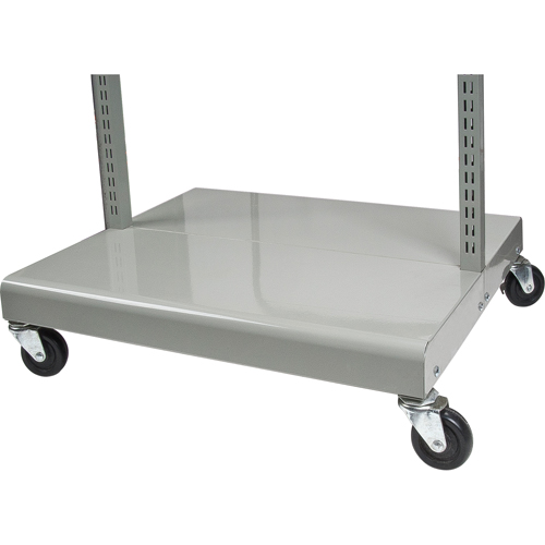 Servante mobile de bacs &agrave; plateaux inclinables - chariot seulement, &agrave; deux c&ocirc;t&eacute;s, 26-1/4" la x 22" p x 57-1/2" h M & M Nord Ouest Inc
