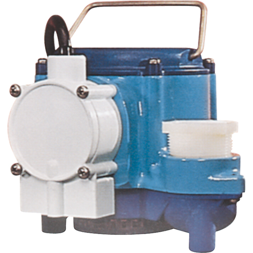 Submersible Pumps, 1/3 HP, 46 GPH, 115 V, 9 A M & M Nord Ouest Inc