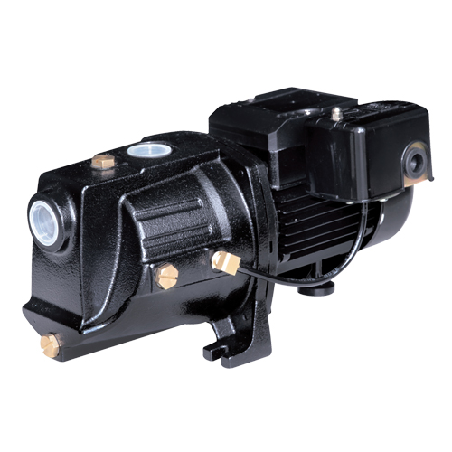 Pompe &agrave; jet en fonte &agrave; double tension pour puit peu profond, 230 V, 710 gal./h, 1/2 CV M & M Nord Ouest Inc