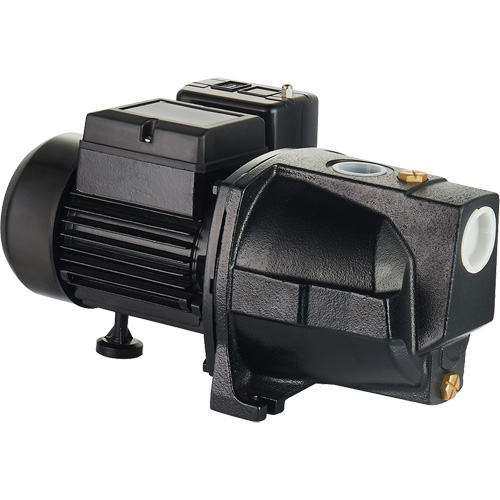 Pompe &agrave; jet en fonte &agrave; double tension pour puit peu profond, 115 V/230 V, 1100 gal./h, 1 CV M & M Nord Ouest Inc