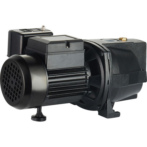 Pompe &agrave; jet en fonte &agrave; double tension pour puit peu profond, 115 V/230 V, 1100 gal./h, 1 CV M & M Nord Ouest Inc