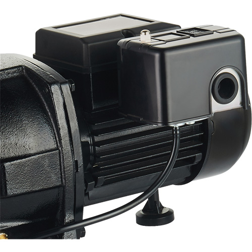 Pompe &agrave; jet en fonte &agrave; double tension pour puit peu profond, 115 V/230 V, 1100 gal./h, 1 CV M & M Nord Ouest Inc
