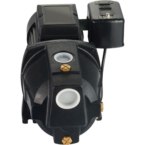 Pompe &agrave; jet en fonte &agrave; double tension pour puit peu profond, 115 V/230 V, 1100 gal./h, 1 CV M & M Nord Ouest Inc