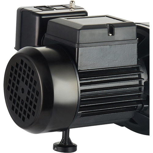 Pompe &agrave; jet en fonte &agrave; double tension pour puit peu profond, 115 V/230 V, 1100 gal./h, 1 CV M & M Nord Ouest Inc