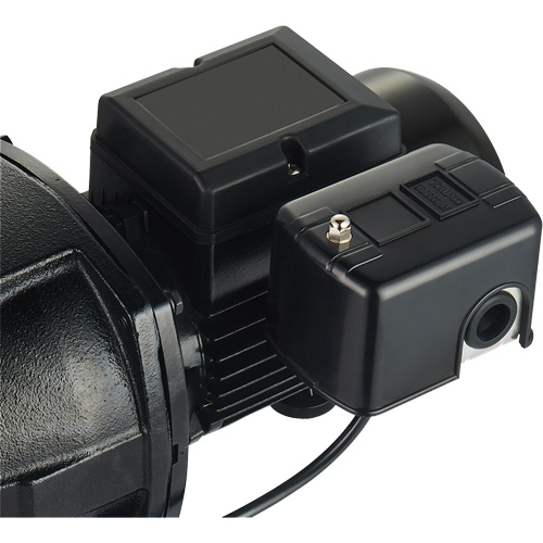 Pompe &agrave; jet en fonte &agrave; double tension pour puit peu profond, 115 V/230 V, 1100 gal./h, 1 CV M & M Nord Ouest Inc