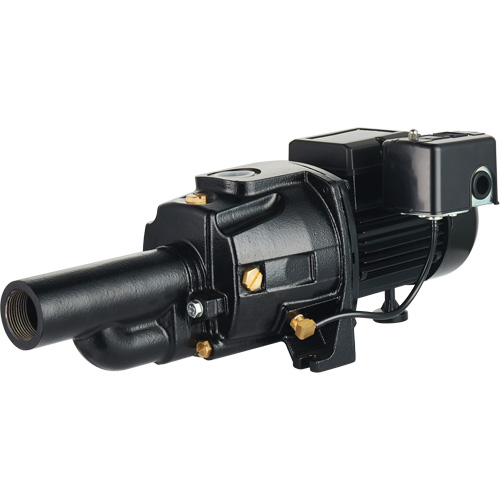 Pompe &agrave; jet en fonte &agrave; double tension transformable, 115 V/230 V, 1400 gal./h, 3/4 CV M & M Nord Ouest Inc