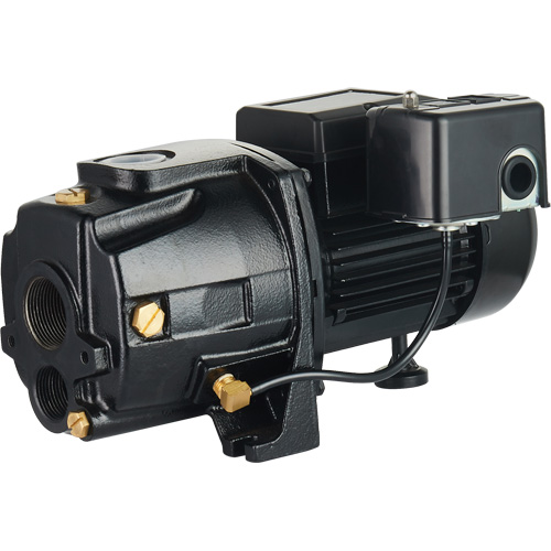Pompe &agrave; jet en fonte &agrave; double tension transformable, 115 V/230 V, 1400 gal./h, 3/4 CV M & M Nord Ouest Inc