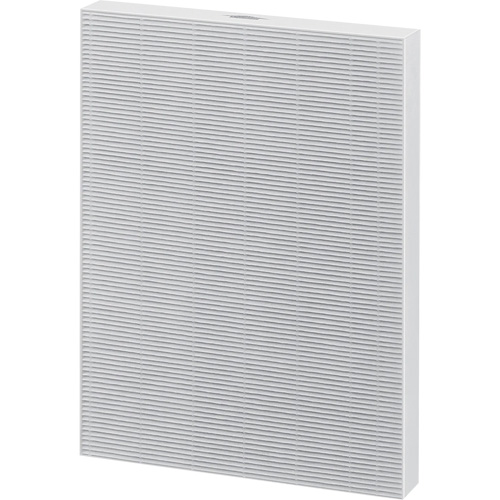Filtre HEPA v&eacute;ritable AeraMax de rechange, Boîte, 10,31" la x 1,19" p x 13,38" h M & M Nord Ouest Inc