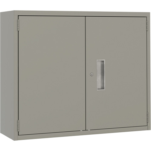 Armoire murale, Acier, 2 Tablettes, 30" h x 36" la x 12" P, Gris M & M Nord Ouest Inc