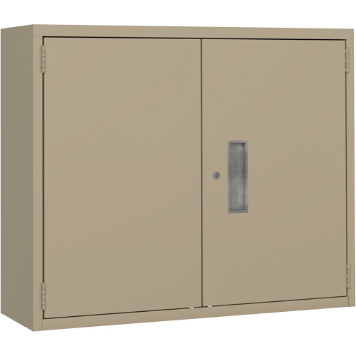 Wall Mounted Cabinet, Steel, 2 Shelves, 30" H x 36" W x 12" D, Beige M & M Nord Ouest Inc