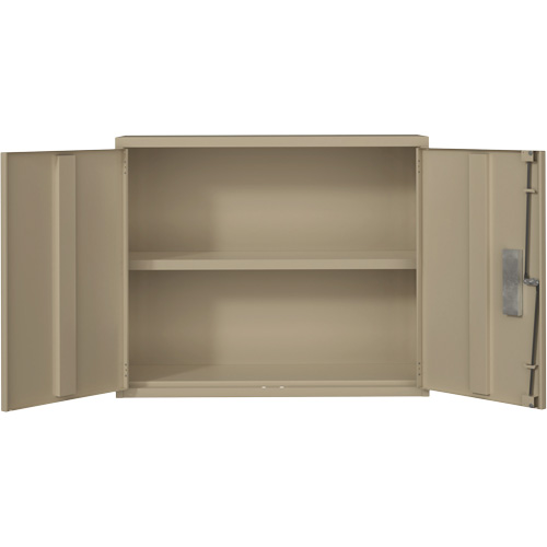 Wall Mounted Cabinet, Steel, 2 Shelves, 30" H x 36" W x 12" D, Beige M & M Nord Ouest Inc
