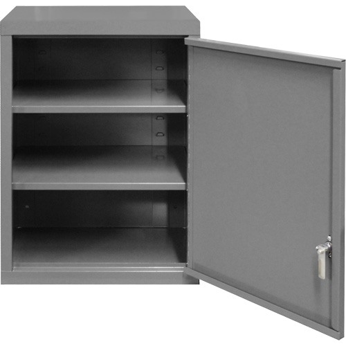 Wall-Mounted Cabinet, 27" H x 13-11/16" W x 18" D, 2 Shelves, Steel, Grey M & M Nord Ouest Inc