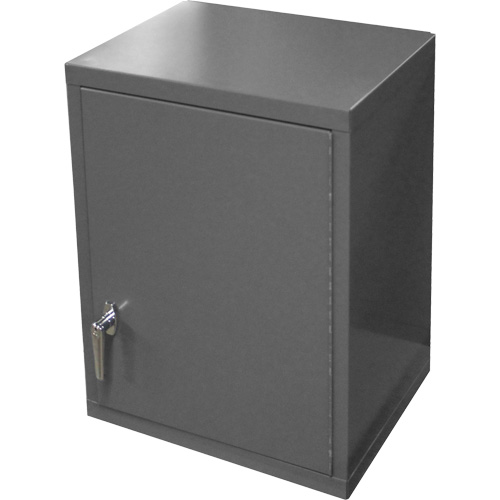 Wall-Mounted Cabinet, 27" H x 13-11/16" W x 18" D, 2 Shelves, Steel, Grey M & M Nord Ouest Inc