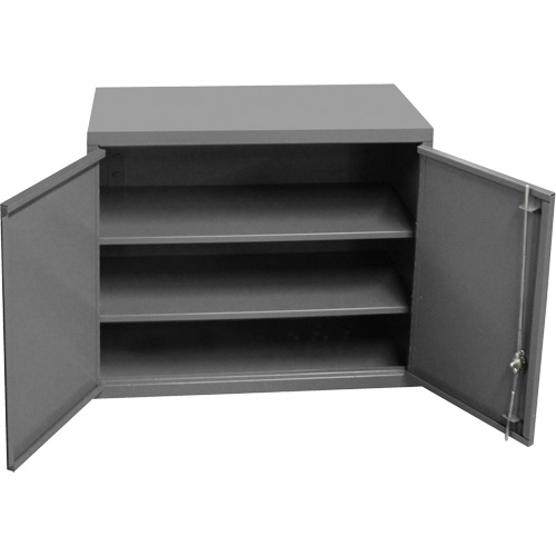 Wall-Mounted Cabinet, 27" H x 13-11/16" W x 35-7/8" D, 2 Shelves, Steel, Grey M & M Nord Ouest Inc