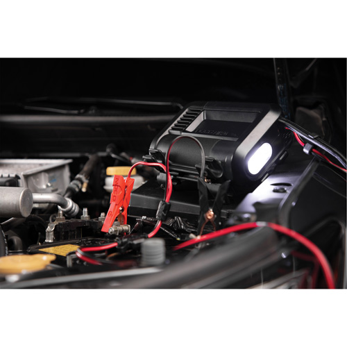 Compresseur d'air portable de 20 A M & M Nord Ouest Inc