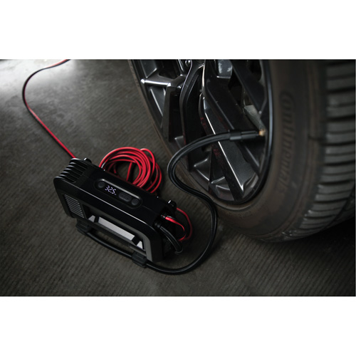 Compresseur d'air portable de 20 A M & M Nord Ouest Inc