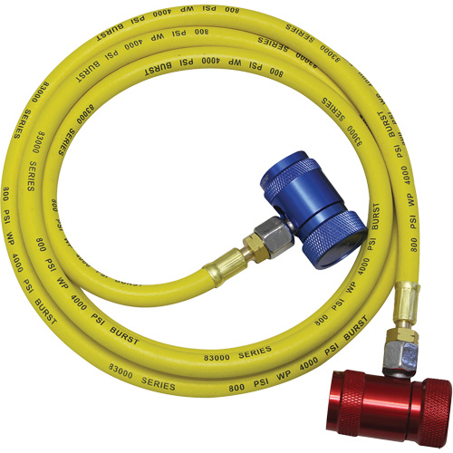 Ensemble flexible de rinçage pour syst&egrave;me de climatisation R1234yf M & M Nord Ouest Inc