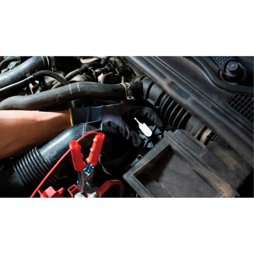 Pompette de purge de frein Brake-Pro &agrave; structure haute avec adaptateurs M & M Nord Ouest Inc