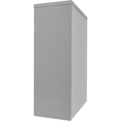Armoire de rangement &agrave; hauteur de comptoir, Acier, 2 Tablettes, 42" h x 30" la x 15" P, Gris M & M Nord Ouest Inc
