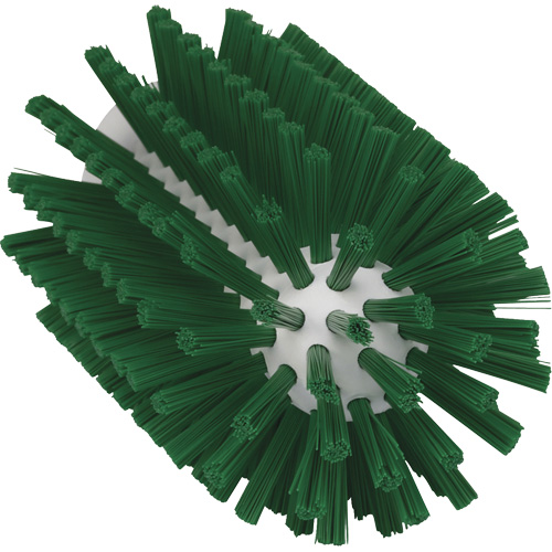 Brosse pour l'hygi&egrave;ne des aliments, Soies Moyen, Longueur de 6", Vert M & M Nord Ouest Inc