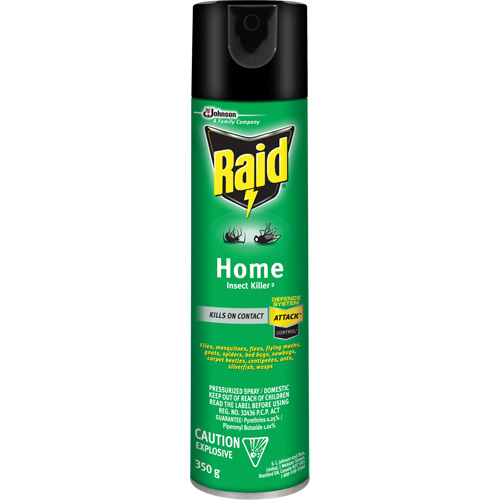 Insecticide pour insectes domestiques Raid, 350 g, &agrave; base de solvant M & M Nord Ouest Inc
