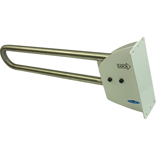 Swing-Up Safety Rail M & M Nord Ouest Inc