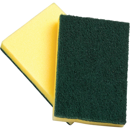 Sponges with Scouring Pad, Scrubbing, 4" W x 6" L M & M Nord Ouest Inc