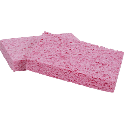 Scotch-Brite Sponge, Cellulose/Grouting/Scrubbing, 3-2/3" W x 6" L M & M Nord Ouest Inc