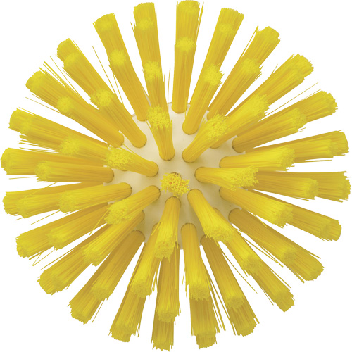 Brosse de 5", Soies Moyen, Longueur de 4-1/2", Jaune M & M Nord Ouest Inc