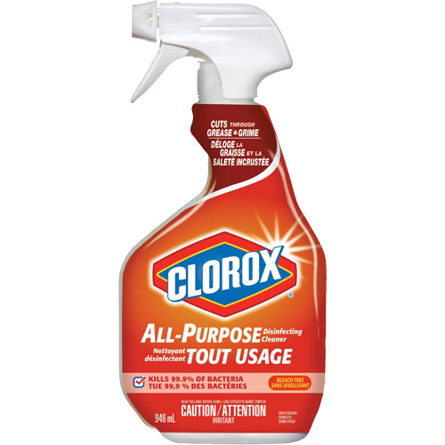All-Purpose Disinfecting Cleaner Spray, 946 ml, Trigger Bottle M & M Nord Ouest Inc