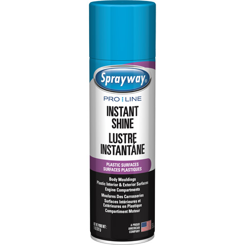 Pro Line Instant Shine for Plastic Surfaces, 11 oz., Aerosol Can M & M Nord Ouest Inc