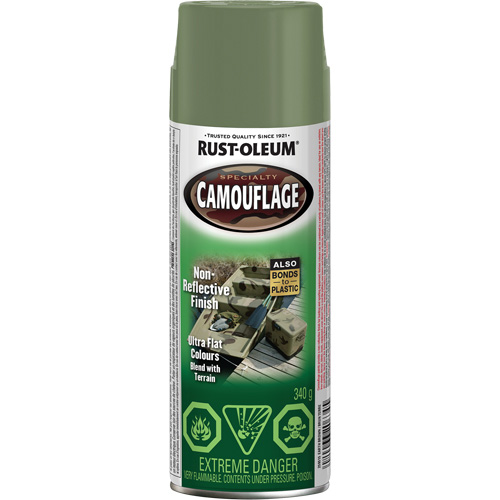 Peinture de camouflage Sp&eacute;cialit&eacute;, Canette a&eacute;rosol, Brun terre M & M Nord Ouest Inc