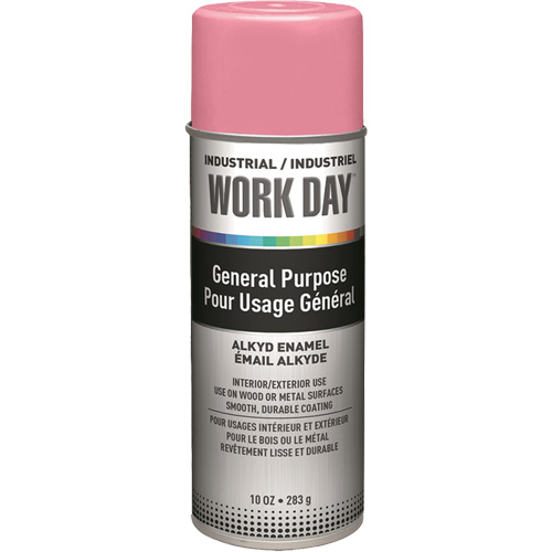 Industrial Work Day Paint, Pink, Gloss, 10 oz., Aerosol Can M & M Nord Ouest Inc