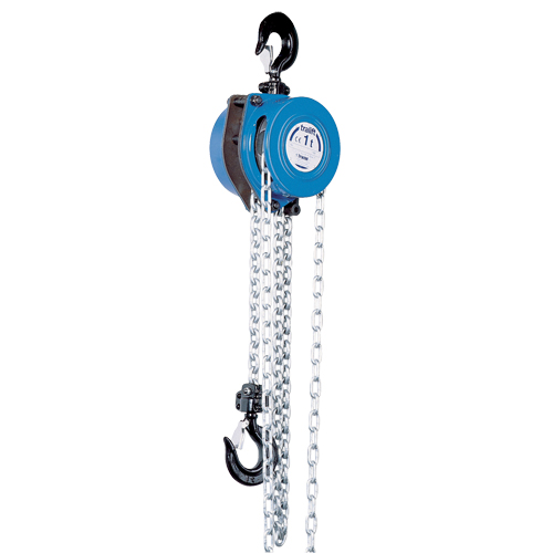 Tralift&reg; Chain Hoist, 20' Lift, 4000 lbs. (2 tons) Capacity, Grade 80 Chain M & M Nord Ouest Inc