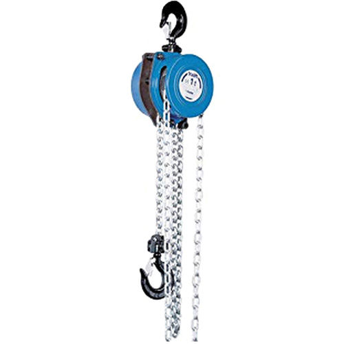 Tralift&reg; Manual Chain Hoist, 10' Lift, 4000 lbs. (2 tons) Capacity, Grade 80 Chain M & M Nord Ouest Inc