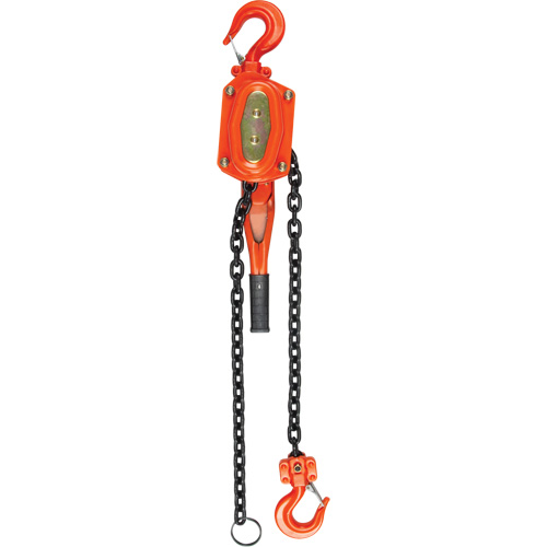 Lever Hoist, 10' Lift, 3000 lbs. (1.5 tons) Capacity, Alloy Steel Chain M & M Nord Ouest Inc