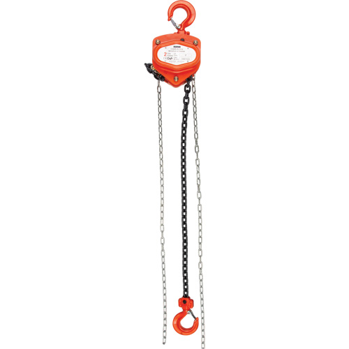 Chain Hoist, 10' Lift, 4000 lbs. (2 tons) Capacity, Alloy Steel Chain M & M Nord Ouest Inc