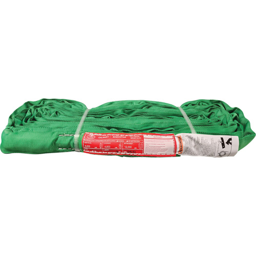 &eacute;lingue ronde en polyester, Vert, 12' lo, 6000 lb Charge verticale M & M Nord Ouest Inc