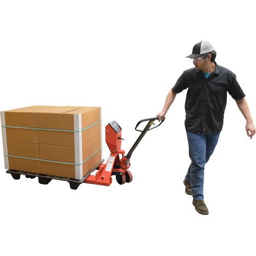 Pallet Truck, 48" L x 27.5" W, 5000 lbs. Cap. M & M Nord Ouest Inc
