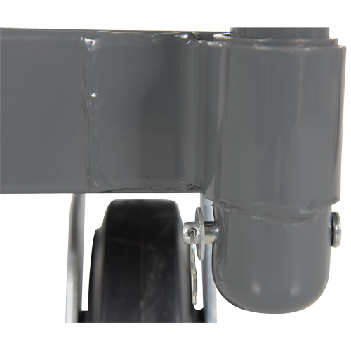 Platform Truck, 48" L x 24" W, 2000 lbs. Capacity, Rubber Casters M & M Nord Ouest Inc