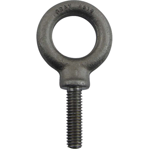 Alloy Steel Eye Bolt, 1" Dia., 1-1/4" L, 1480 lbs. (0.74 tons)/1480 lbs. Capacity M & M Nord Ouest Inc