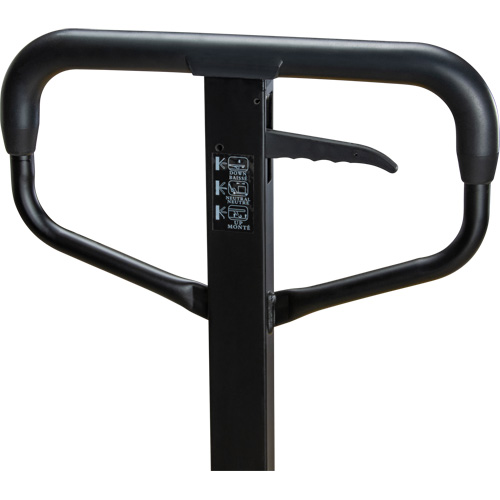 Steel Wheel Pallet Truck, Steel, 48" L x 27" W, 5500 lbs. Capacity M & M Nord Ouest Inc